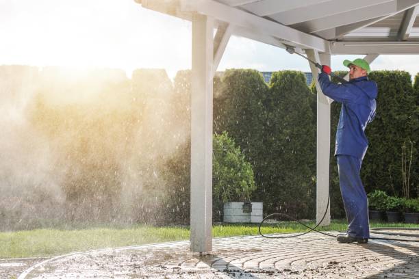 Best Solar Panel Cleaning  in Albany, IN